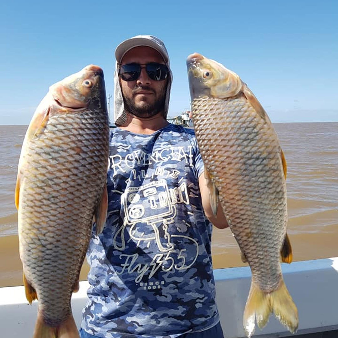 Boga (Leporinus obtusidens)