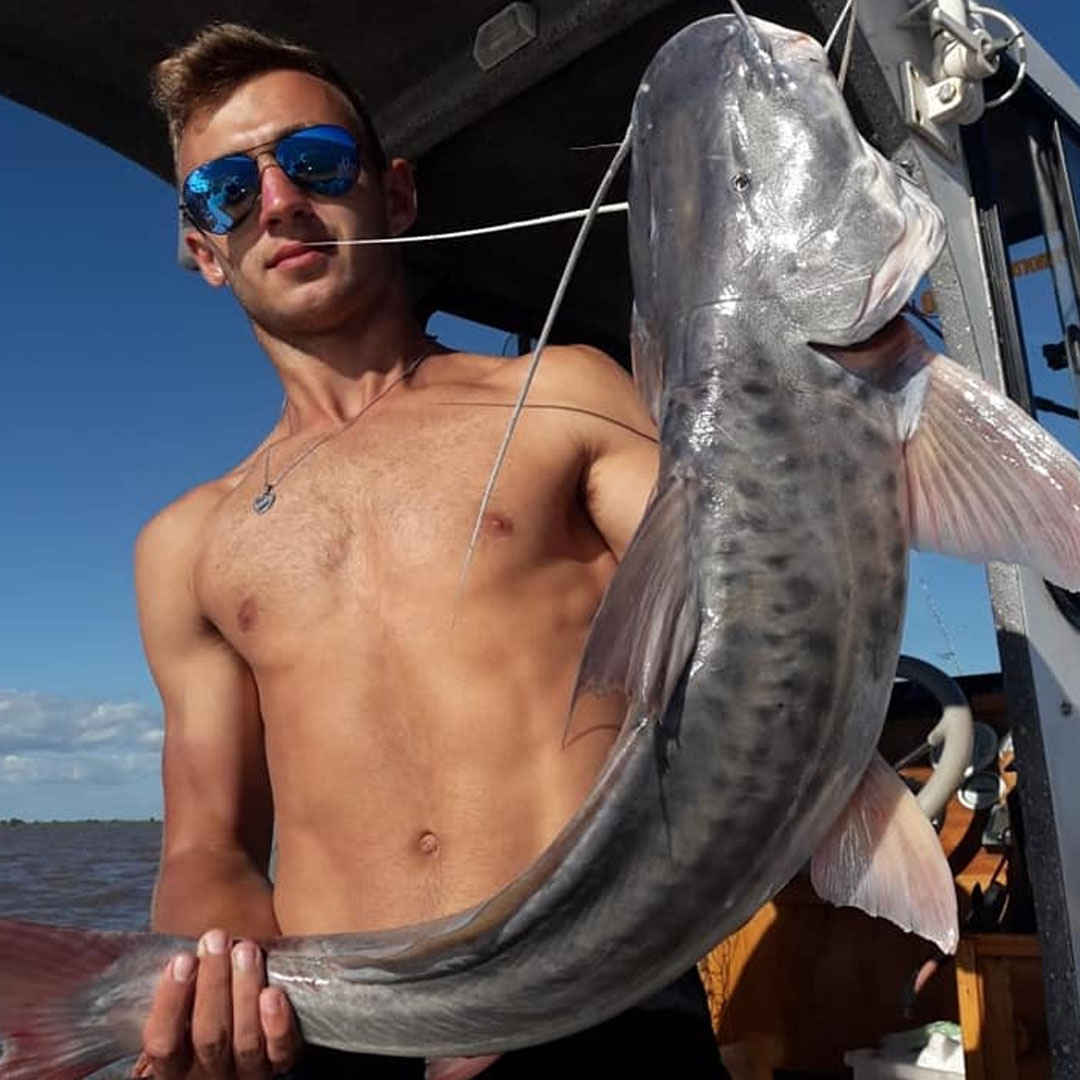 Patí (Luciopimelodus pati)