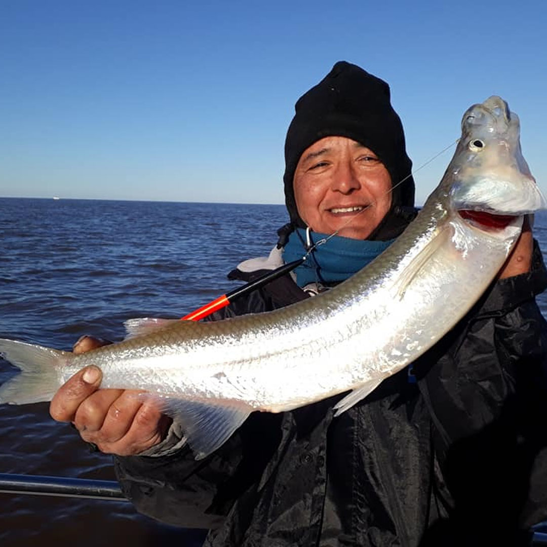 Pejerrey (Odontesthes bonariensis)
